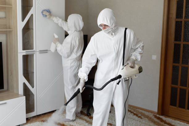 24/7 Emergency Odor Removal experts in Los Angeles, CA