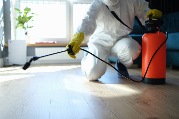 Reliable Odor Removal contractor in Los Angeles, CA by Trauma Clean Pros